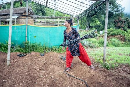 Person in red pants and a dark patterned shirt walks on a dirt path under a metal canopy in a rural yard.