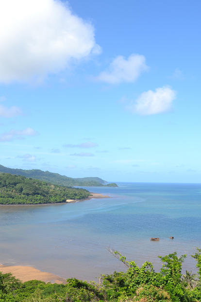 Coastal view showcasing lush greenery, a sandy beach, and calm blue waters under a clear sky.
