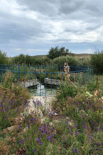 Meadow with grasses, purple wildflowers, a shallow stream, and distant hills under clouds.