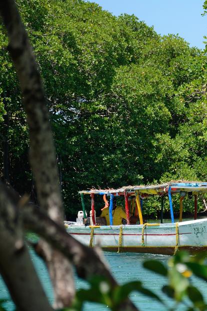 Photo: colorful canopy boat on turquoise water, tree-lined tropical shore framed by leaves.