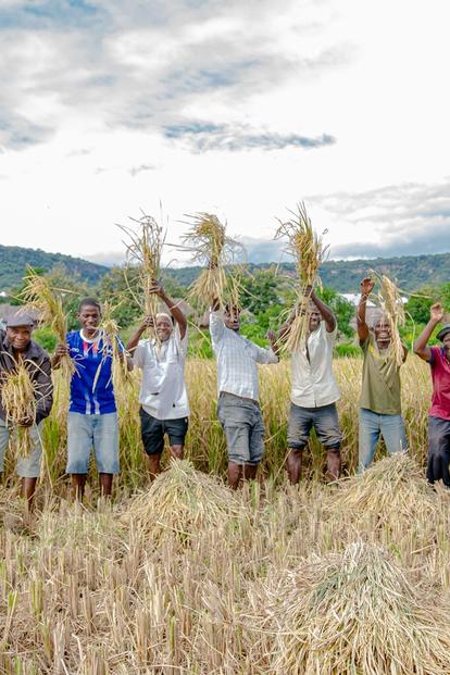 Group of diverse people in a sunny field with arms raised, mountains in the background.