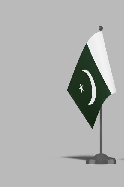 Pakistan and Sweden flags on flagpoles against a gray background.