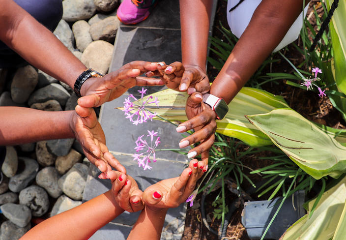 Diverse hands forming a circle around pink petals on rocky ground with plants.
