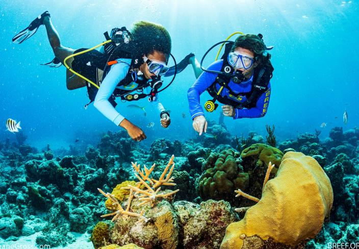 Life under water. Young people of The Bahamas help save coral reefs