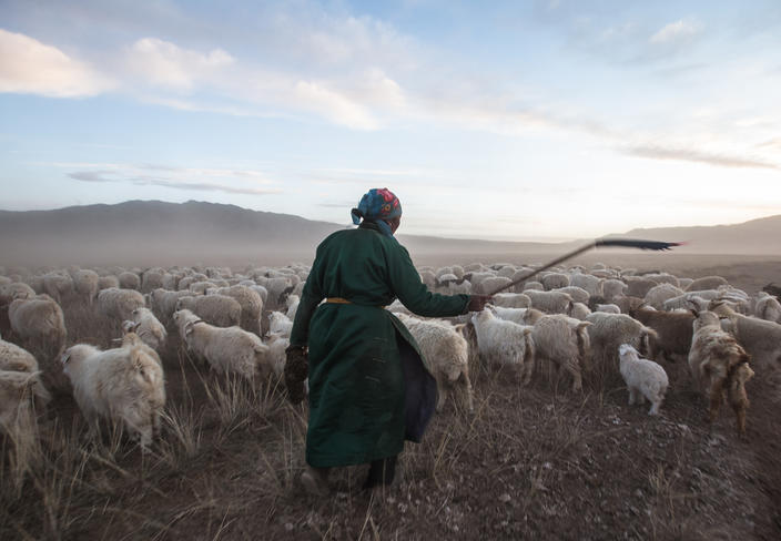 PHOTO ONE TIME USAGE FOR STORY ONLY: Goats in Bayangovi Aimag, Bajanhongor province. Photo: © Beniamino Pisati. All photos courtesy of Beniamino Pisati