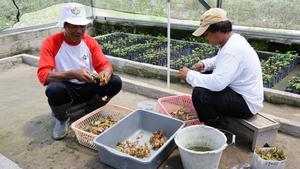 Two men wearing hats sit outdoors by a railing, sorting meat into gray tubs.