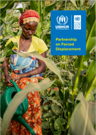 UNDP-UNHCR-Partnership-on-Forced-Displacement-COVER.PNG