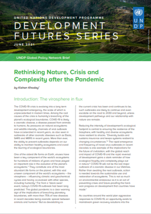 UNDP-DFS-Rethinking-Nature-Crisis-and-Complexity-after-the-Pandemic-COVER.PNG