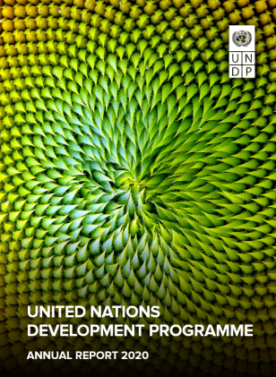 undp-annual-report-2020-cover.PNG