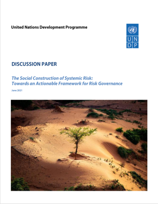 UNDP-Social-Construction-of-Systemic-Risk-Towards-an-Actionable-Framework-for-Risk-Governance-COVER.PNG