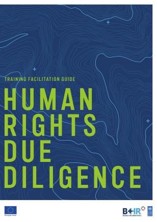 UNDP-RBAP-Human-Rights-Due-Diligence-Training-Facilitation-Guide-2021-cover.jpg