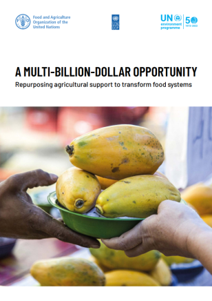 UNDP-UNEP-FAO-Repurposing-Agricultural-Support-to-Transform-Food-Systems-COVER.PNG