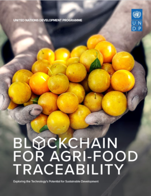 UNDP-Blockchain-for-Agri-Food-Traceability-COVER.PNG