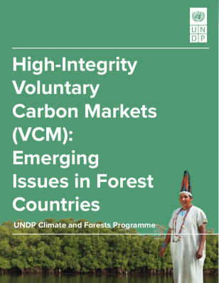 UNDP-High-Integrity-Voluntary-Carbon-Markets-Emerging-Issues-in-Forest-Countries-COVER2.png
