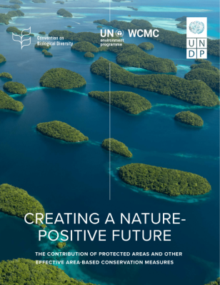 UNDP-UNEP-Creating-a-Nature-Positive-Future-COVER.PNG