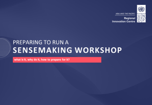 UNDP-RBAP-Sensemaking-Workshop-Preparation-Guide-public-version-2021-cover_0.png