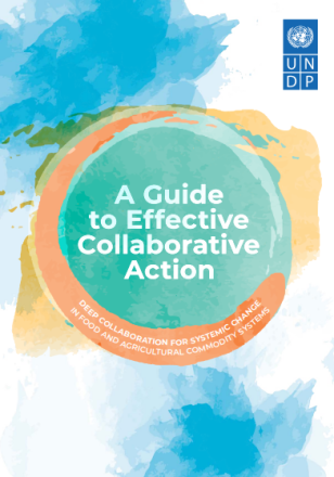 UNDP-A-Guide-to-Effective-Collaborative-Action-COVER.png