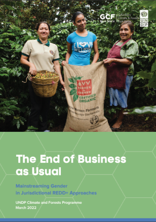 UNDP-GCF-The-End-of-Business-as-Usual-Mainstreaming-Gender-in-REDD-Approaches-COVER.png