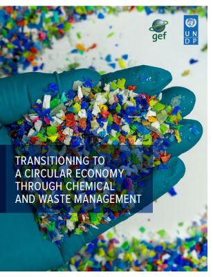 UNDP-GEF-Transitioning-to-a-Circular-Economy-Through-Chemical-and-Waste-Management-COVER.png