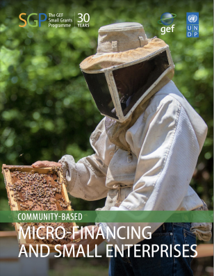 UNDP-GEF Micro-Financing and Small Enterprises Cover Image