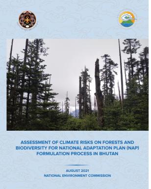 CCA Forest and Biodiversity of Bhutan