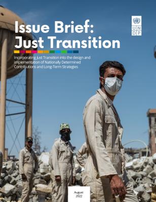 Issue Brief: Just Transition