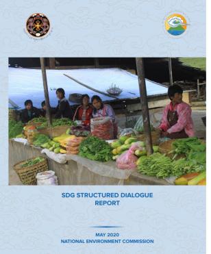 SDG Structured Dialogue Report