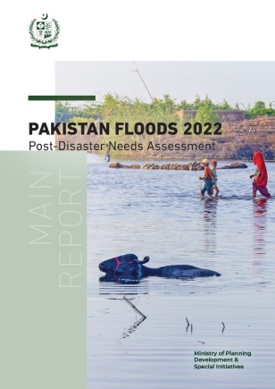 pakistan floods case study 2022