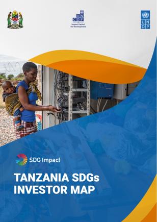Tanzania SDGs Investor Map
