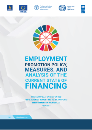 Employment Promotion Policy, Measures, and Analysis of the Current State of Financing