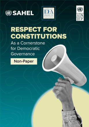 Constitution Non-Paper