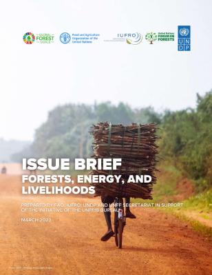 Issue Brief: Forests, Energy and Livelihoods
