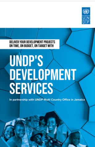 UNDP's Development Services - cover photo