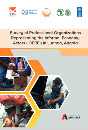 Survey of Professional Organizations Representing the Informal Economy Actors (IOPREI) in Luanda, Angola