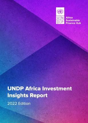 undp-africa-investment-insights-2022-cover.jpg