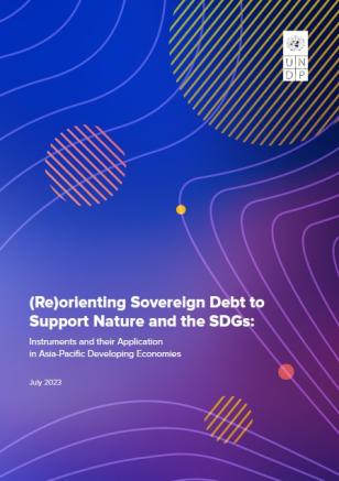 Front page cover of (Re)orienting sovereign debts report 