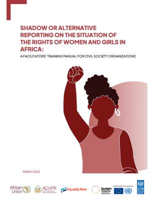 undp-africa-training-manual-shadow-2023-cover
