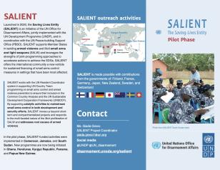 SALIENT Brochure October 2023 — UNDP Crisis Bureau Rule of Law and Human Rights ROLHR