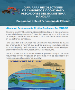 UNDP_ECU_Campaña ENOS