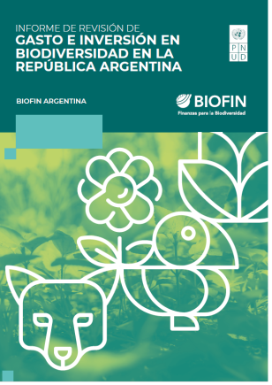 UNDP-Argentina-Biofin-Brouchure-Gasto-2024
