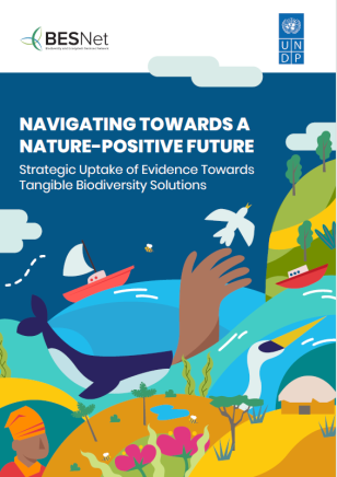 biodiversity and sustainable development essay