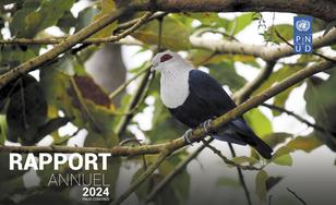 A bird with a white head and dark blue body perched on a branch amidst green leaves.