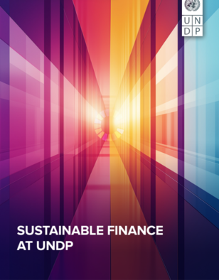 Colorful abstract graphic representing sustainable finance, with "SUSTAINABLE FINANCE AT UNDP" text.