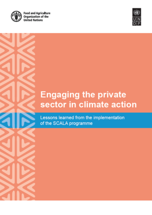 Cover of a report titled "Engaging the private sector in climate action" with a coral background and blue accent.