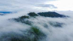 Misty mountain landscape with lush greenery and clouds enveloping the peaks.