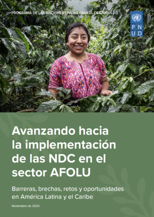 Person in pink patterned shirt among tropical plants; banner on NDC implementation in sector AFO.