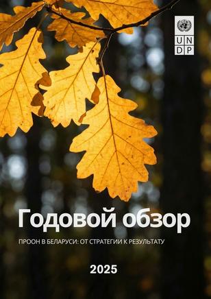 Autumn orange leaves in foreground; UN logo top-right and Russian title 'Годовой обзор' 2025.