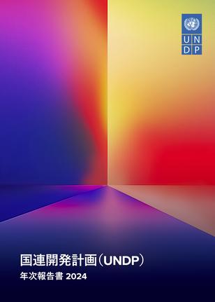 Colorful abstract cover with a diagonal gradient, mirrored floor, UNDP logo, and Japanese title.