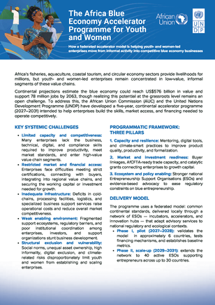 Blue brochure about African Union Economic Accelerator Programme for Youths and Women.