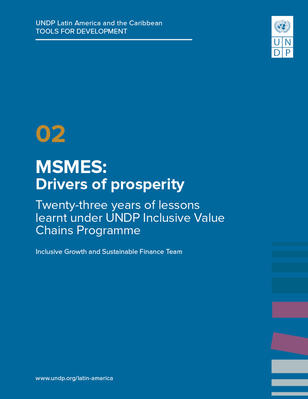 Blue report cover: MSMEs: Drivers of prosperity, UNDP logo, and colorful right stripes.